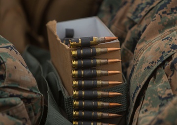 Rounds Down Range | 9th ESB Marines participate in combat marksmanship training