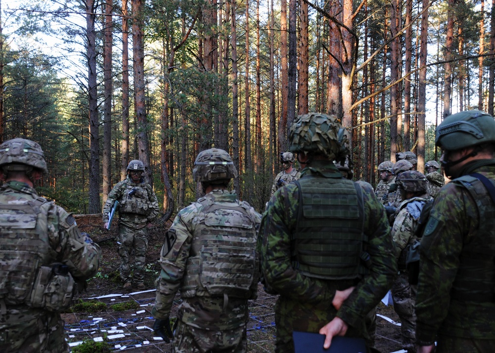 Ironhorse and Iron Wolf Brigades Train Together