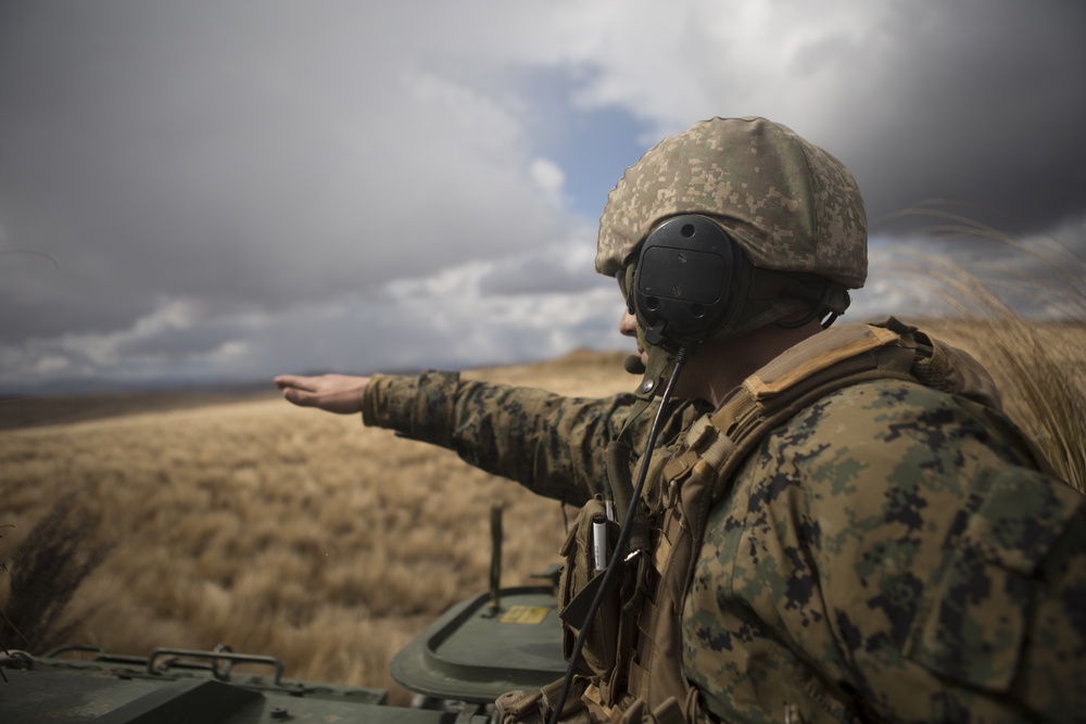 U.S. Marines Call for Fire