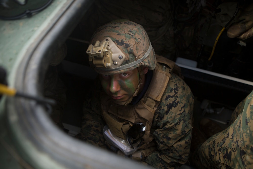 U.S. Marines Call for Fire
