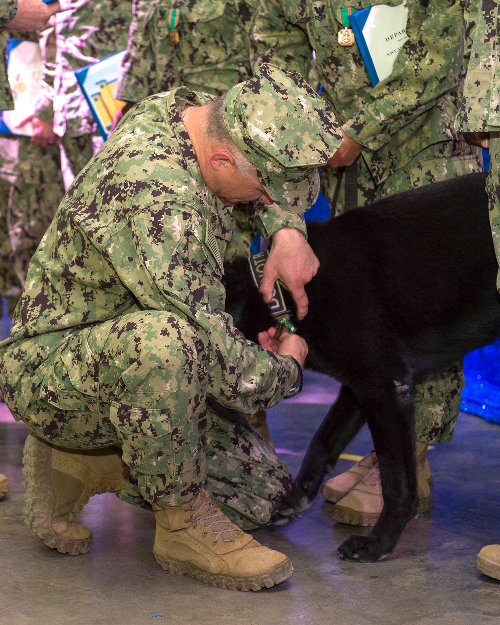 MWD receives Navy and Marine Corps Commendation Medal