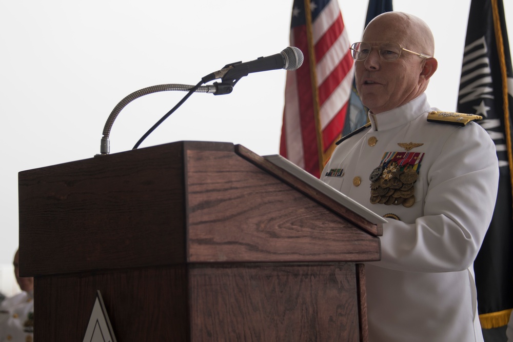Commandre Naval Air Force reserve Change of Command