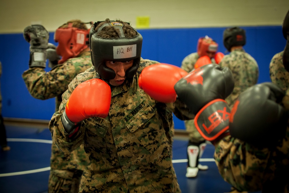 MAIC: One mind, any weapon