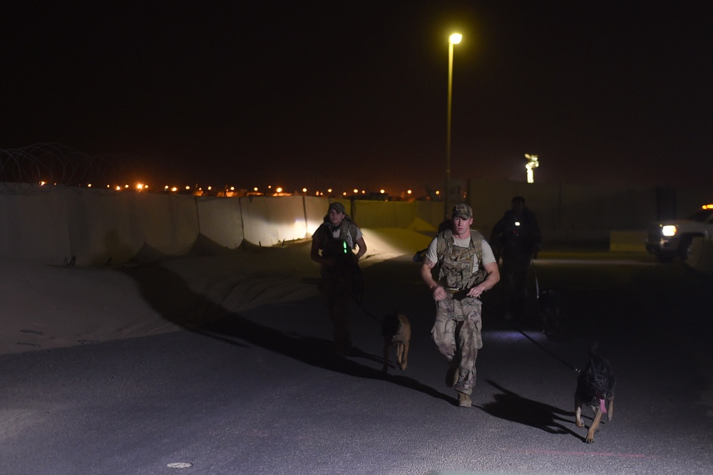 407th ESFS conducts MWD endurance detection exercise