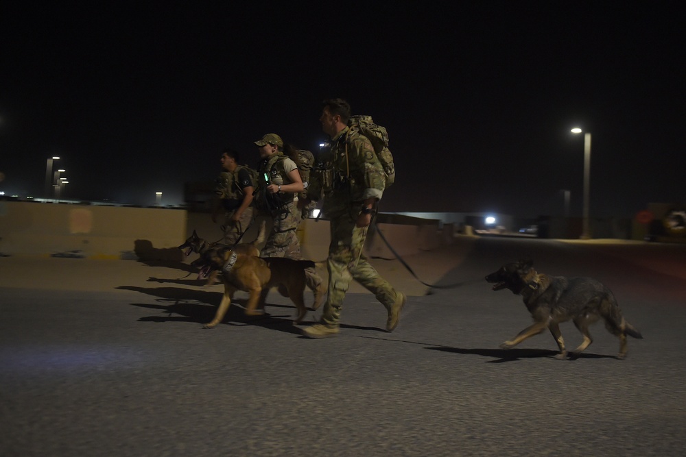 407th ESFS conducts MWD endurance detection exercise