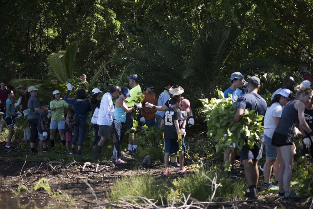 NAVFAC Hawaii CO leads Navy team, partners with local community to improve ancient Hawaiian fishpond