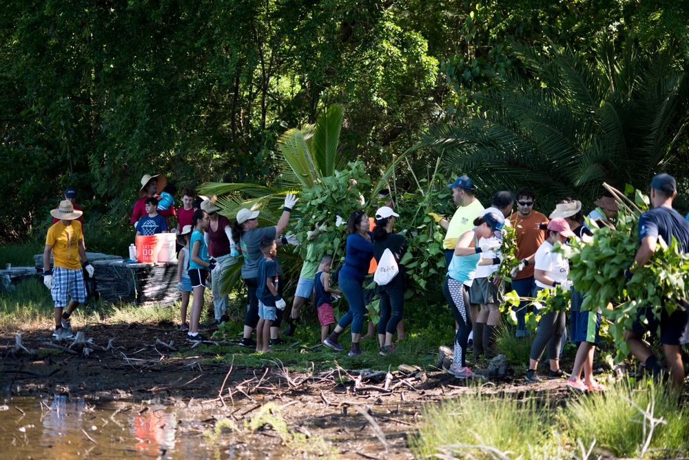 NAVFAC Hawaii CO leads Navy team, partners with local community to improve ancient Hawaiian fishpond