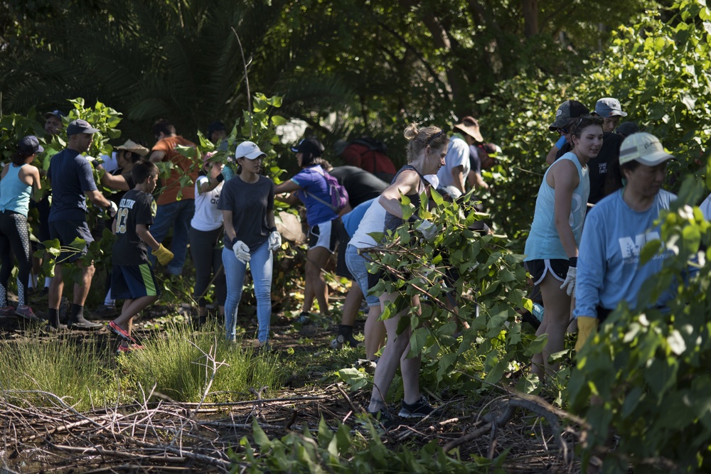 NAVFAC Hawaii CO leads Navy team, partners with local community to improve ancient Hawaiian fishpond