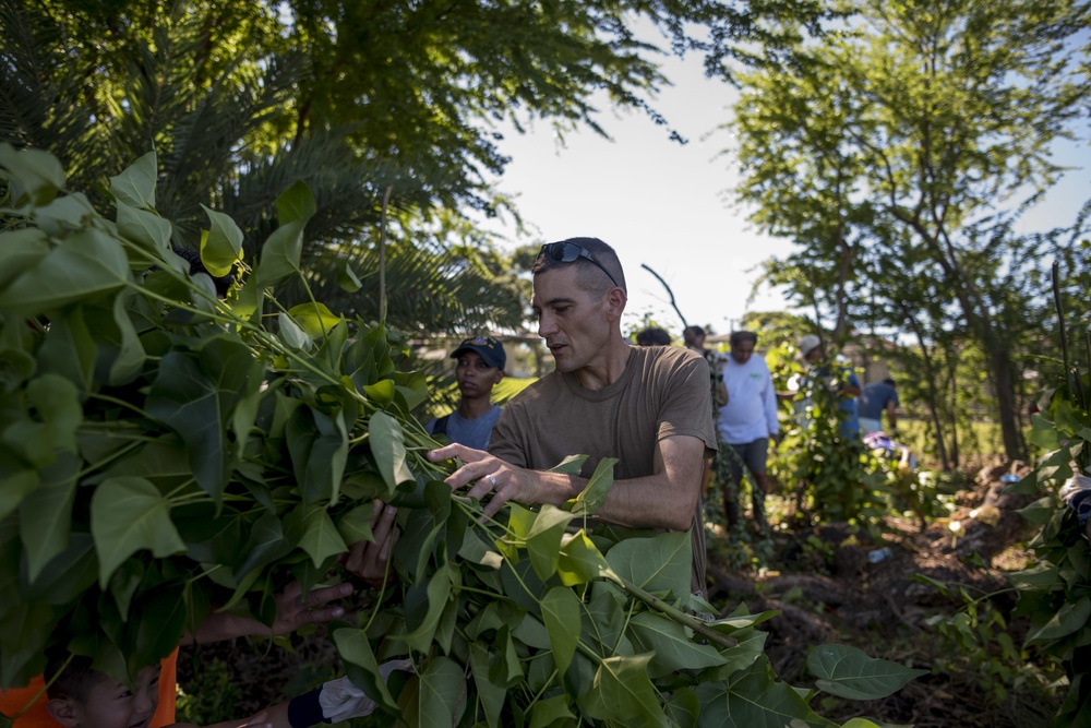 NAVFAC Hawaii CO leads Navy team, partners with local community to improve ancient Hawaiian fishpond