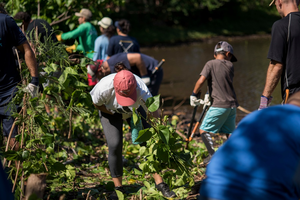 NAVFAC Hawaii CO leads Navy team, partners with local community to improve ancient Hawaiian fishpond