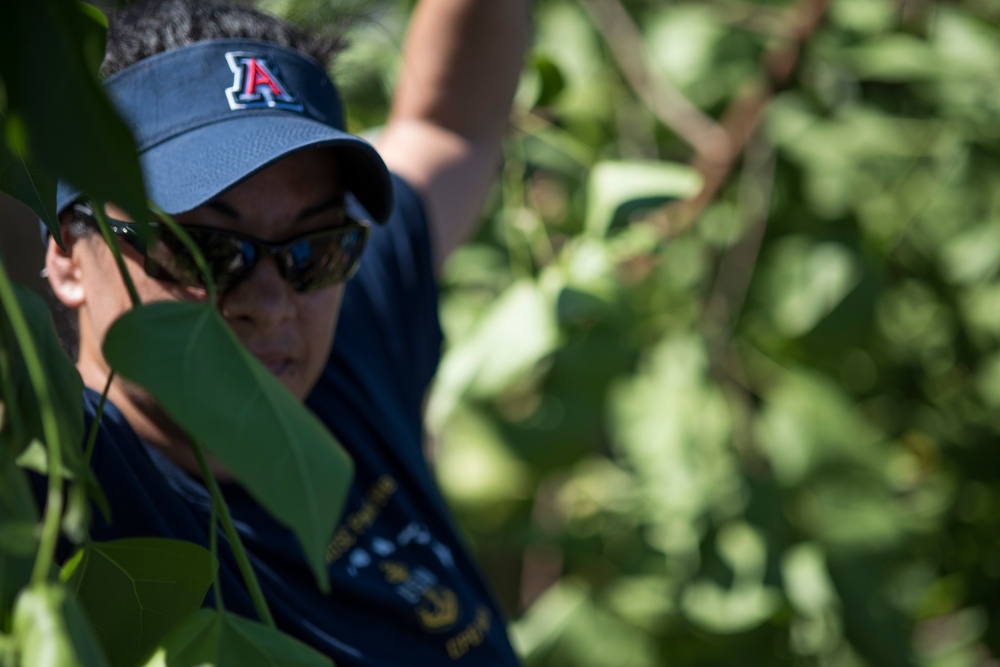 NAVFAC Hawaii CO leads Navy team, partners with local community to improve ancient Hawaiian fishpond