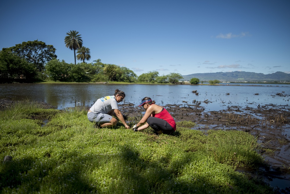 NAVFAC Hawaii CO leads Navy team, partners with local community to improve ancient Hawaiian fishpond