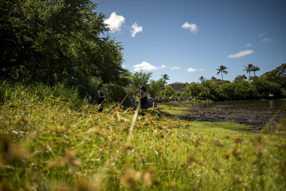 NAVFAC Hawaii CO leads Navy team, partners with local community to improve ancient Hawaiian fishpond