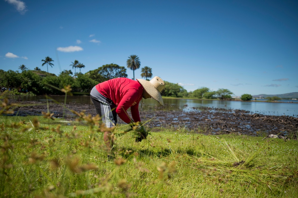 NAVFAC Hawaii CO leads Navy team, partners with local community to improve ancient Hawaiian fishpond