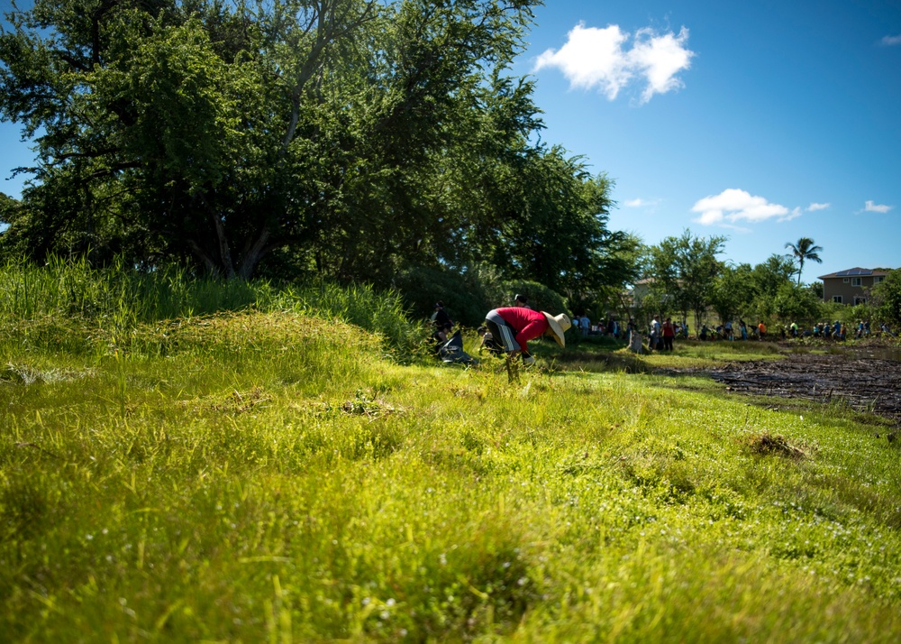 NAVFAC Hawaii CO leads Navy team, partners with local community to improve ancient Hawaiian fishpond