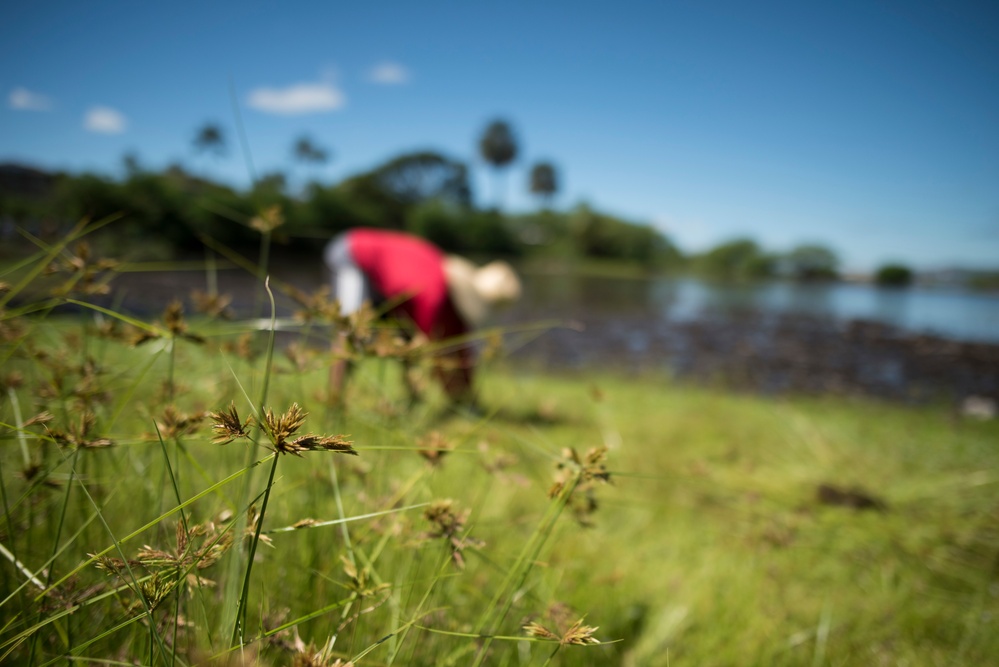 NAVFAC Hawaii CO leads Navy team, partners with local community to improve ancient Hawaiian fishpond