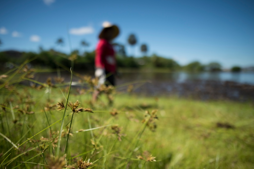 NAVFAC Hawaii CO leads Navy team, partners with local community to improve ancient Hawaiian fishpond