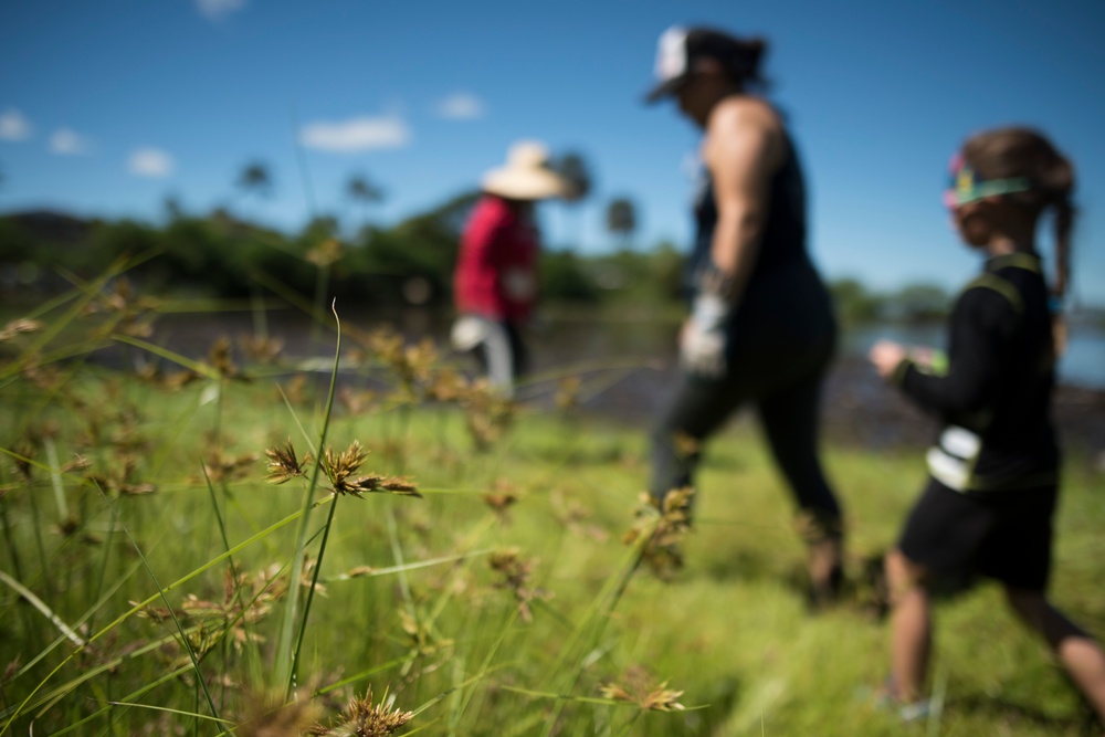 NAVFAC Hawaii CO leads Navy team, partners with local community to improve ancient Hawaiian fishpond