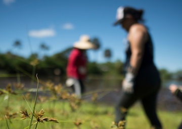 NAVFAC Hawaii CO leads Navy team, partners with local community to improve ancient Hawaiian fishpond