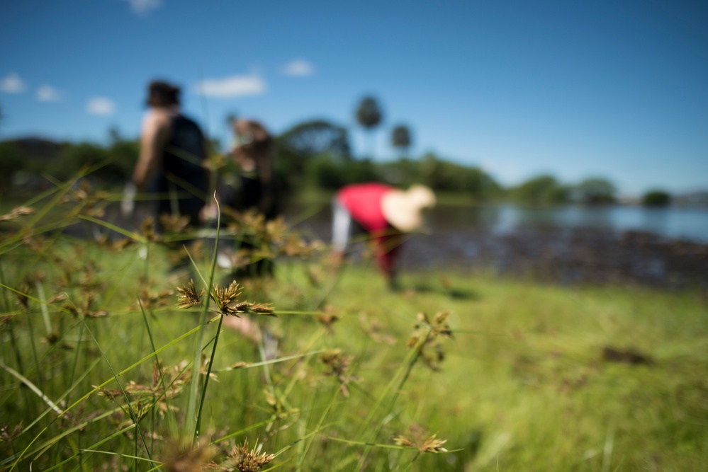 NAVFAC Hawaii CO leads Navy team, partners with local community to improve ancient Hawaiian fishpond