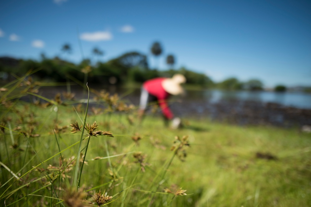 NAVFAC Hawaii CO leads Navy team, partners with local community to improve ancient Hawaiian fishpond