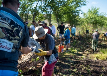 NAVFAC Hawaii CO leads Navy team, partners with local community to improve ancient Hawaiian fishpond