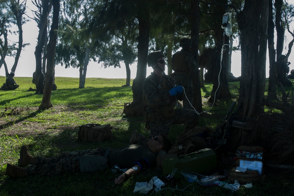 Corpsmen with Battalion Landing Team, 2nd Battalion, 5th Marines, simulate fresh whole blood auto-transfusion