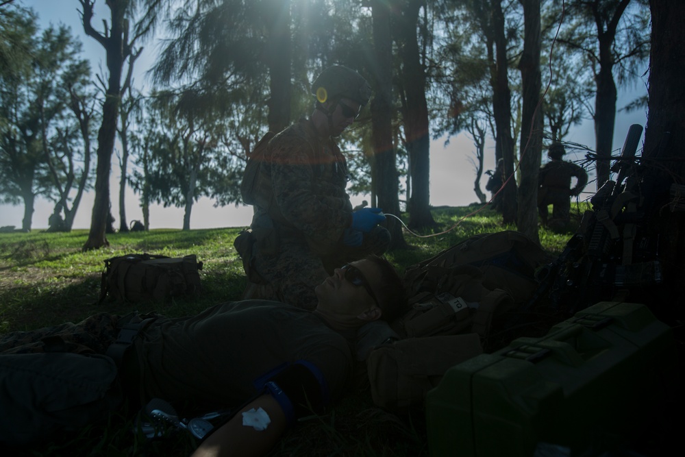 Corpsmen with Battalion Landing Team, 2nd Battalion, 5th Marines, simulate fresh whole blood auto-transfusion