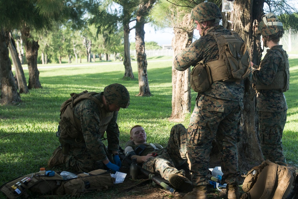 Corpsmen with Battalion Landing Team, 2nd Battalion, 5th Marines, simulate fresh whole blood auto-transfusion