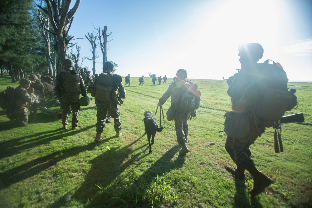 Corpsmen with Battalion Landing Team, 2nd Battalion, 5th Marines, simulate fresh whole blood auto-transfusion