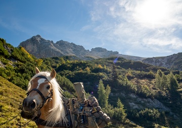 NATO Snipers Practice High-Angle Shooting in Austria