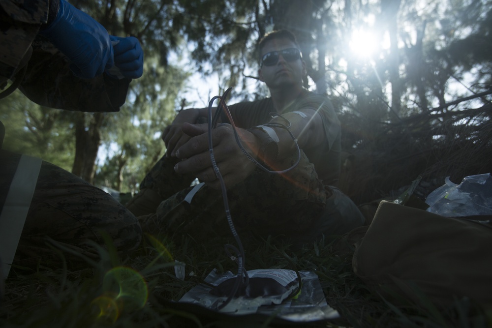 Corpsmen with Battalion Landing Team, 2nd Battalion, 5th Marines, simulate fresh whole blood auto-transfusion