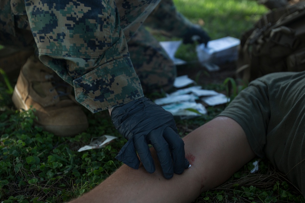 Corpsmen with Battalion Landing Team, 2nd Battalion, 5th Marines, simulate fresh whole blood auto-transfusion