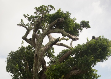 MCIPAC Okinawa Cultural sites on base: Dos and Don’ts
