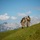 NATO Snipers Practice High-Angle Shooting in Austria NATO Snipers Practice High-Angle Shooting in Austria