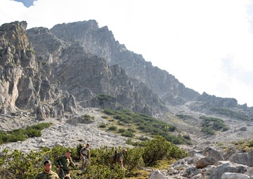 NATO Snipers Practice High-Angle Shooting in Austria