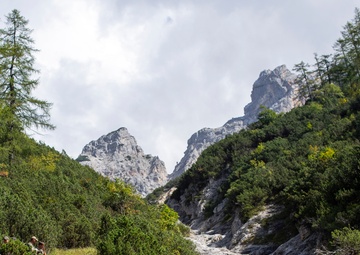 NATO Snipers Practice High-Angle Shooting in Austria