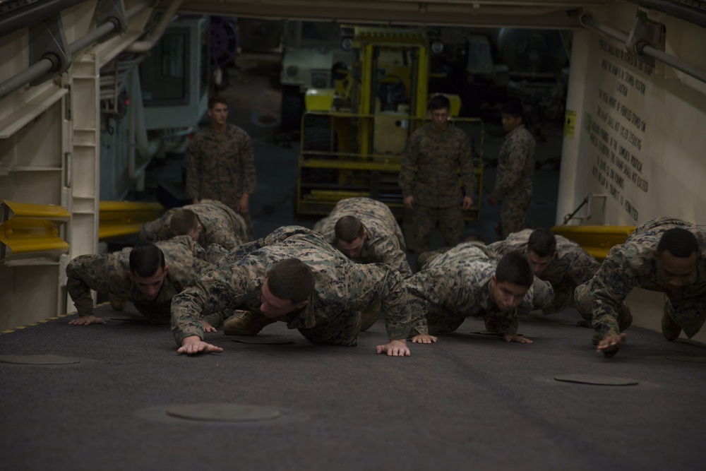 Marine Corps Martial Arts Program