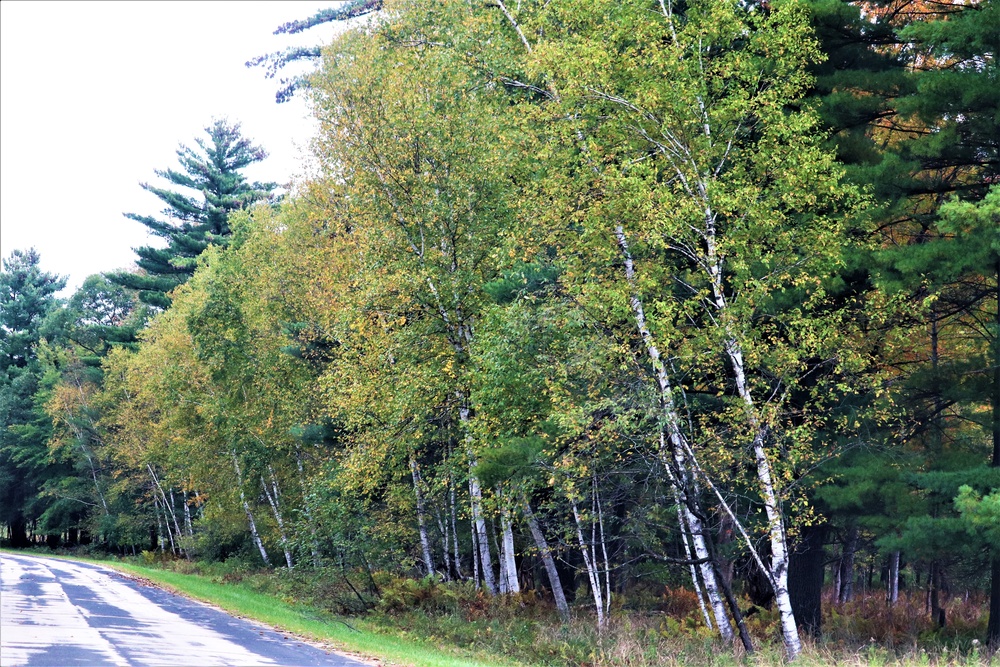 2018 Fall Colors at Fort McCoy