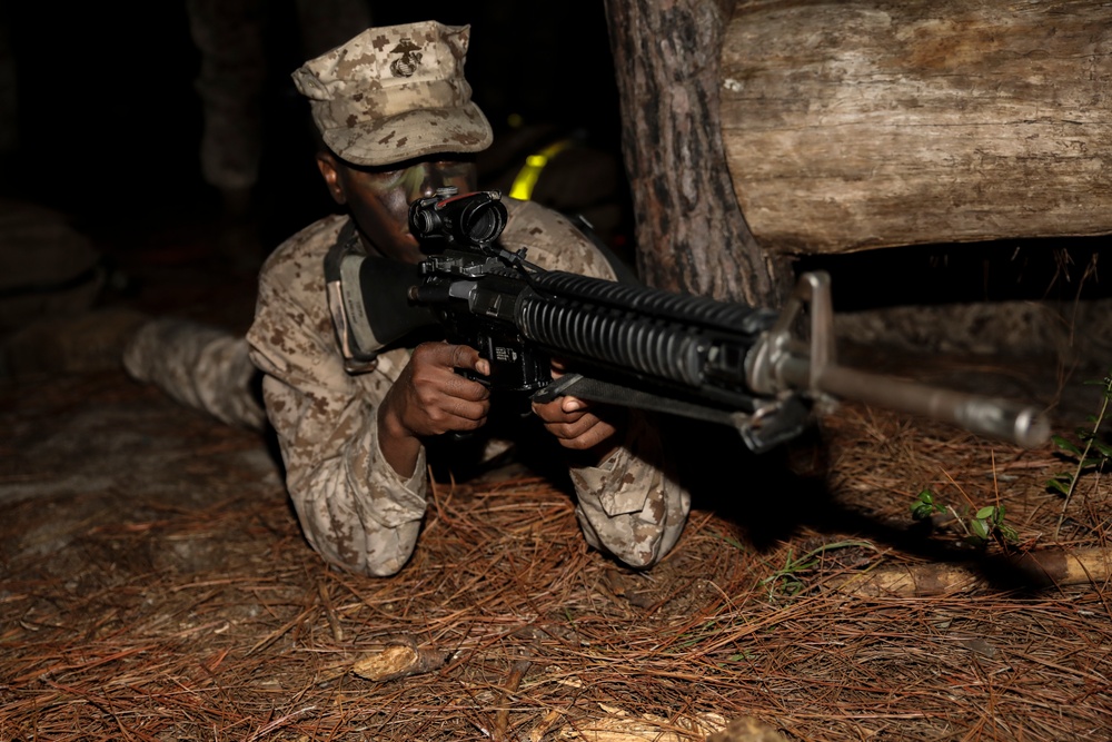 Delta and Papa Company Crucible