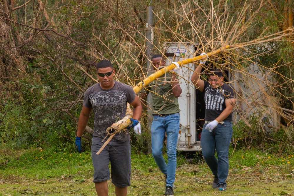 Volunteering for the Elderly