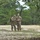 3/10 MTN Soldiers support Cyber Blitz 2018