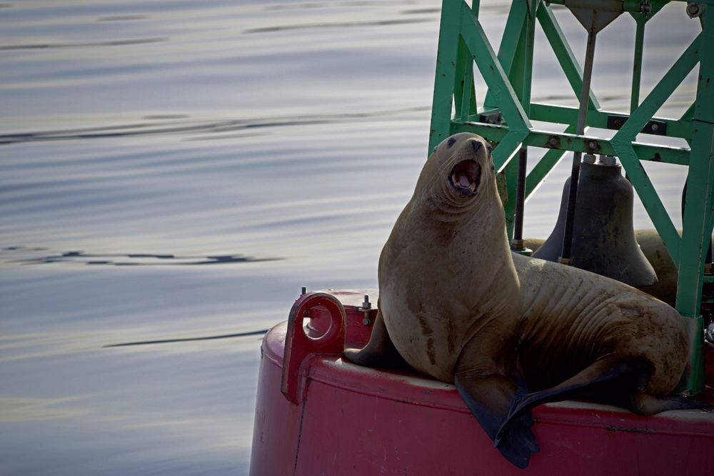 Coast Guard Cutter Anthony Petit crew conducts buoy maintenance in southeast Alaska