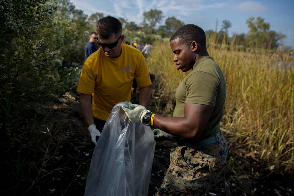 Shoreline clean-up