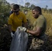 Shoreline clean-up