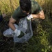 Shoreline clean-up