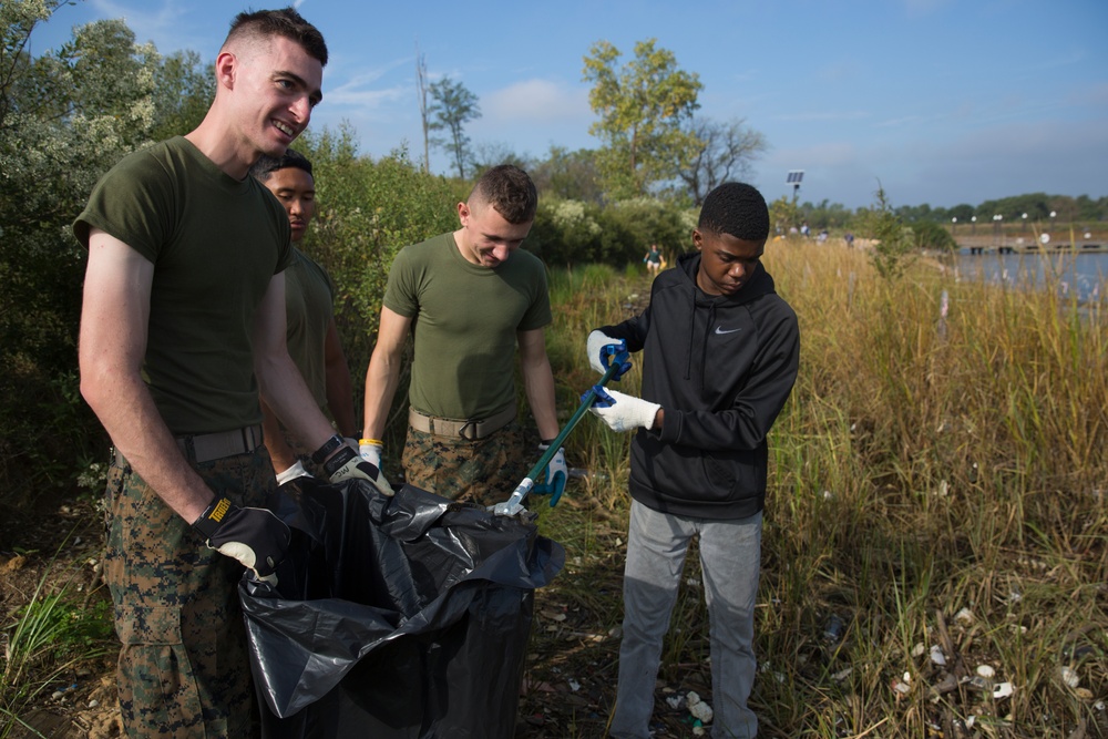 Shoreline clean-up