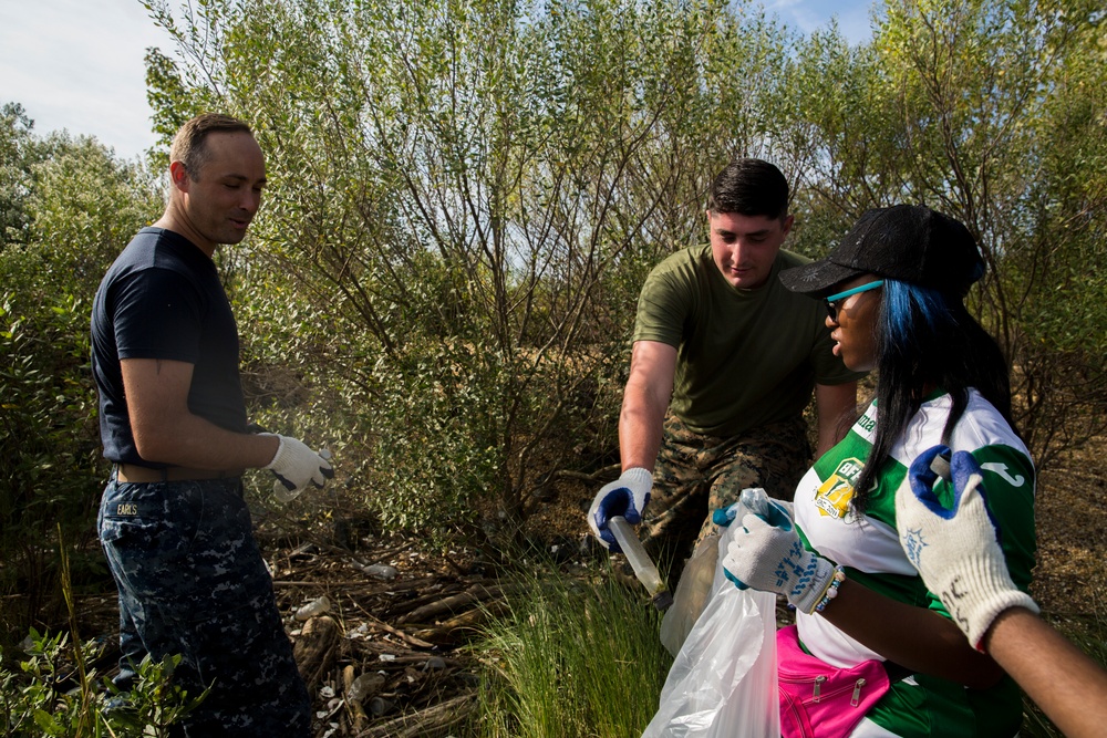 Shoreline clean-up