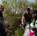 Shoreline clean-up