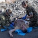 Civilian, Military medical professionals conduct tele-medicine training exercise at San Francisco Fleet Week